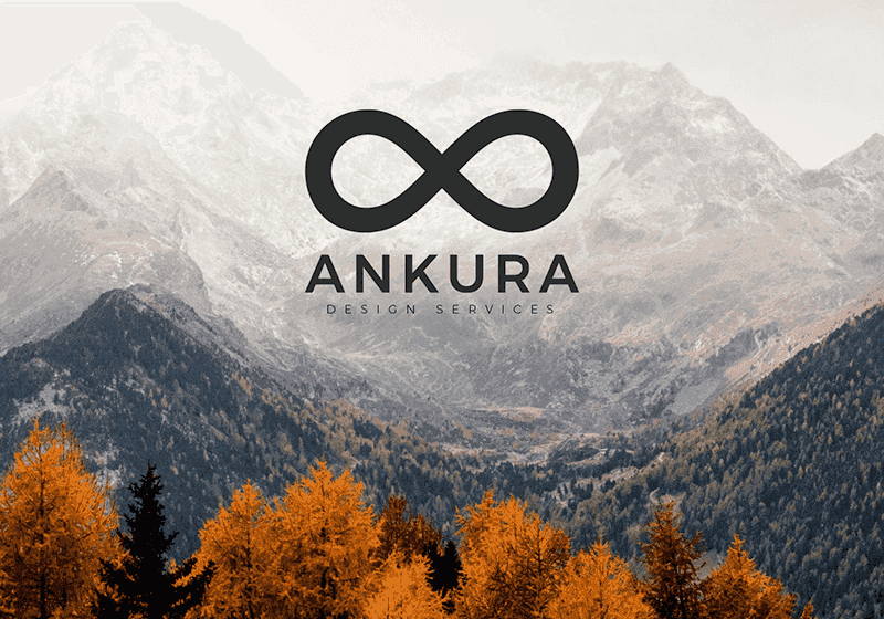 Ankura Services