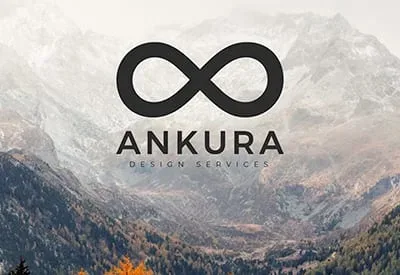 Ankura Services